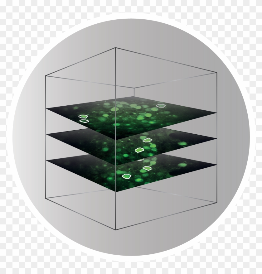 Architecture Clipart #2032221