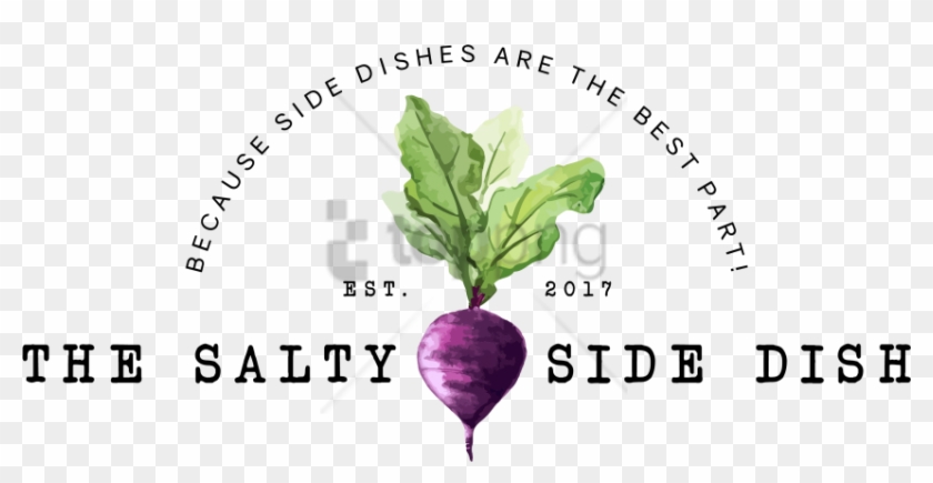 Free Png Download Blank Recipe Book - Beetroot Clipart