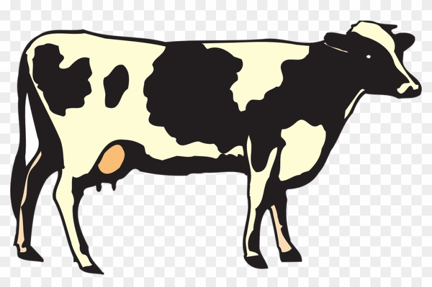 Png Image Free Cows - Food From Plants And Animals Worksheet Clipart