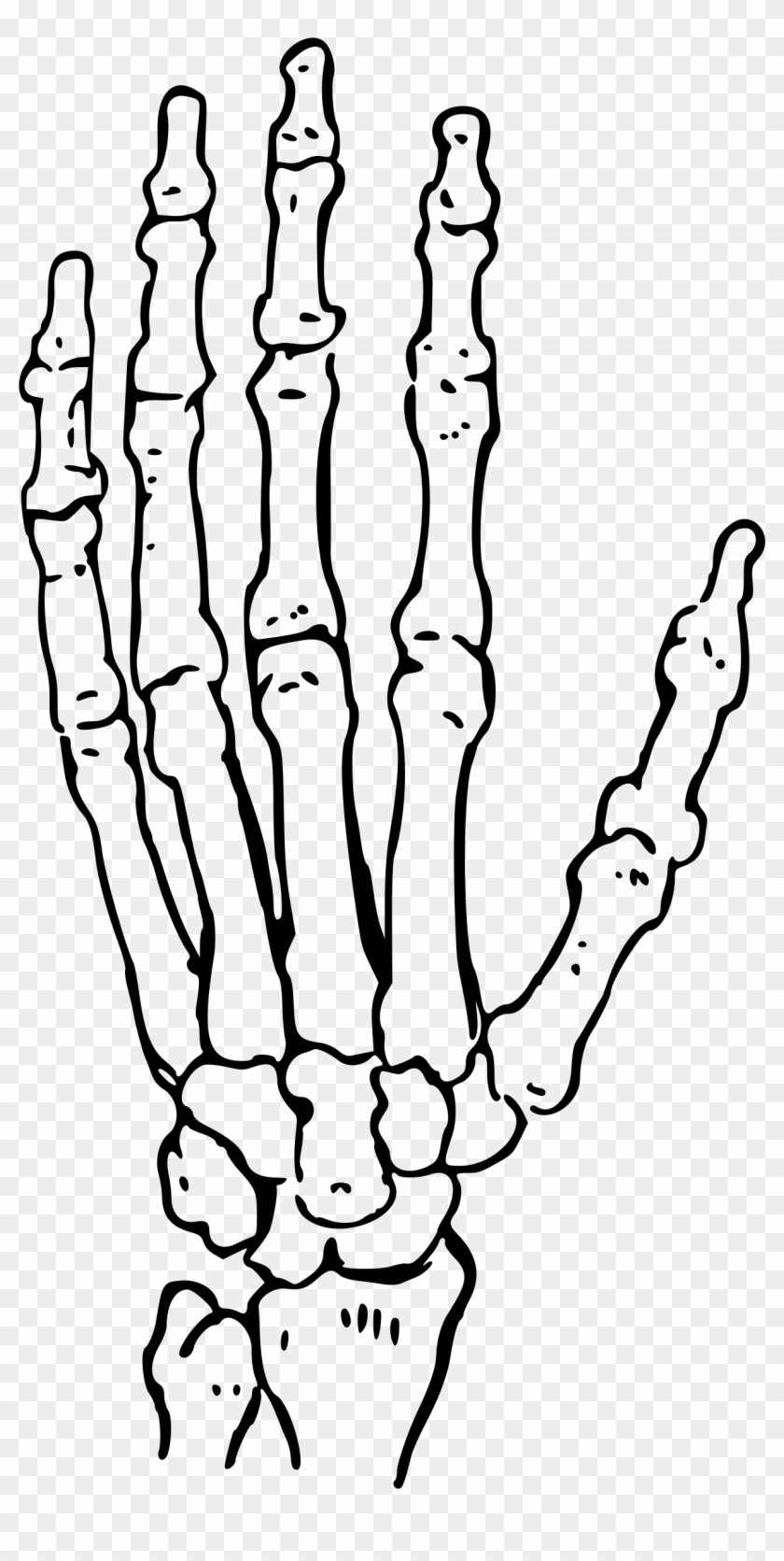 Of The Big Image Png - Skeleton Hands Clipart Transparent Png