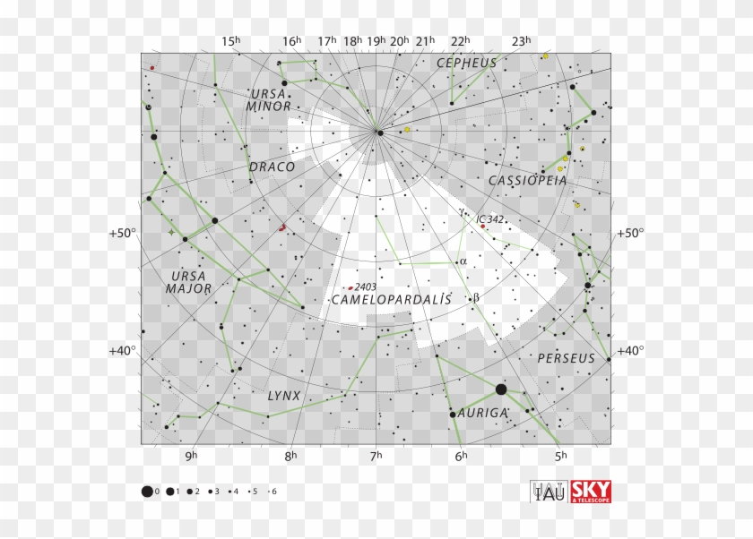 The Constellation Camelopardalis Is Far To The North - Camelopardalis Constellation Clipart #2033390