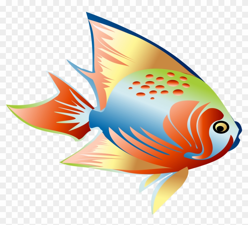 Fish Clip Art - سمك ملون Png Transparent Png