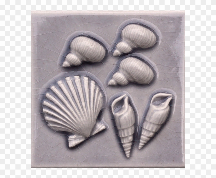 154-snails Cockle Phos Shells - Baltic Clam Clipart #2034276