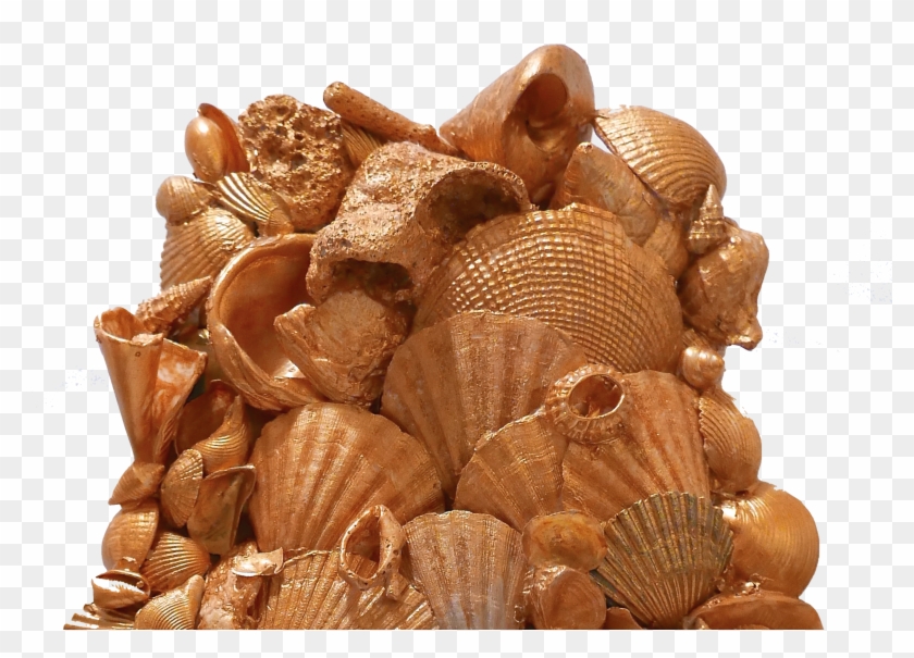 Chocolate Clipart #2034631
