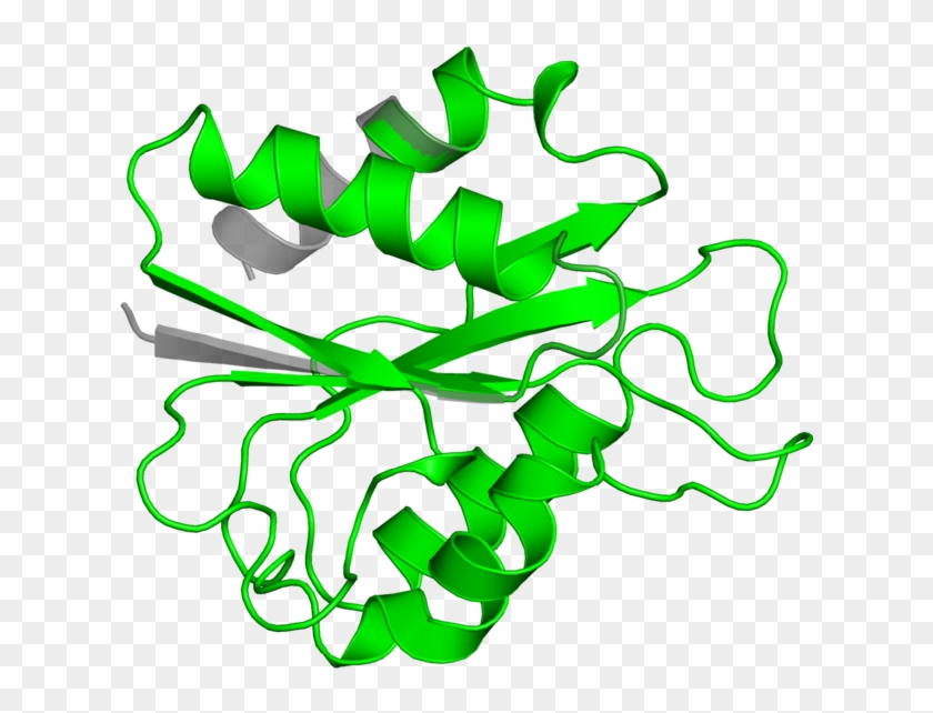 Illustration Clipart #2035270