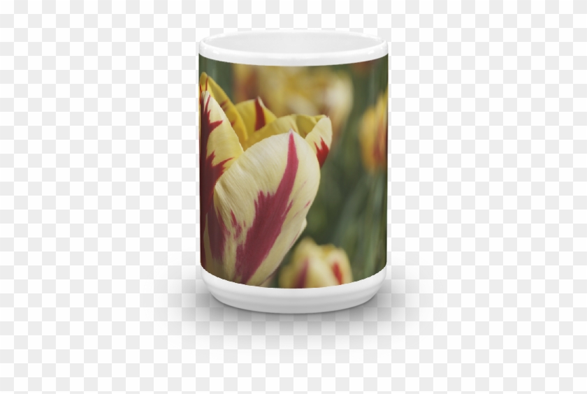 Tulip Clipart #2035776