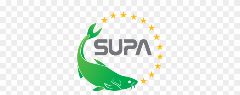 Eu Supports Funding Of Sustainable Catfish Supply Chain - Pangasius Logo Clipart #2036344