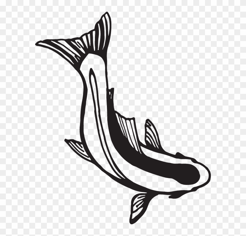 Decal Options - Clipart