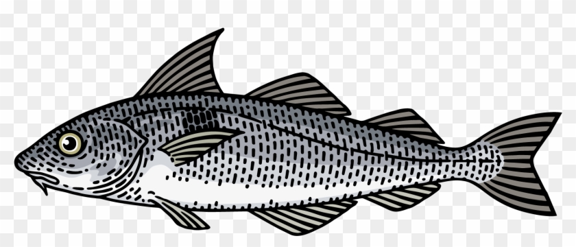Haddock - Pescado Sin Fondo Clipart