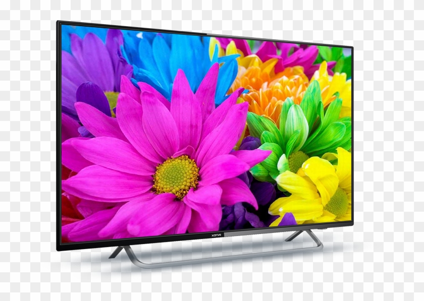 Intex Led Tv 4300 Full Hd With Panel Size 108 Cm - Different Colors Of Flower Clipart #2037354