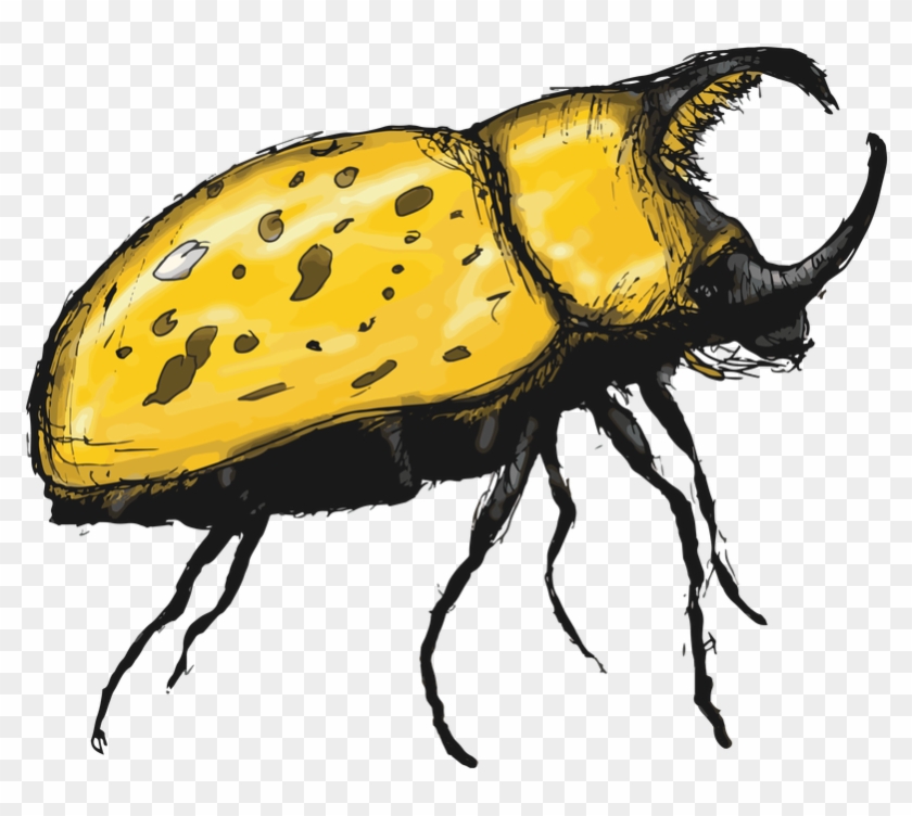 Japanese Rhinoceros Beetle Clipart