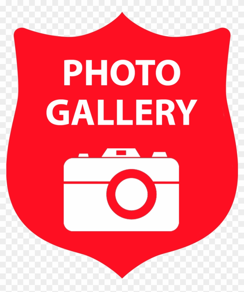 Image Royalty Free Download Massachusetts Division - Camera Clip Art - Png Download #2046119