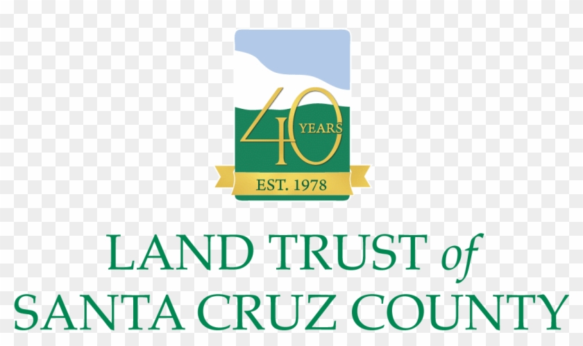 Graphic Design Clipart