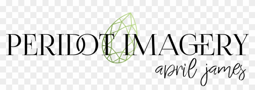 Circle Clipart #2055949