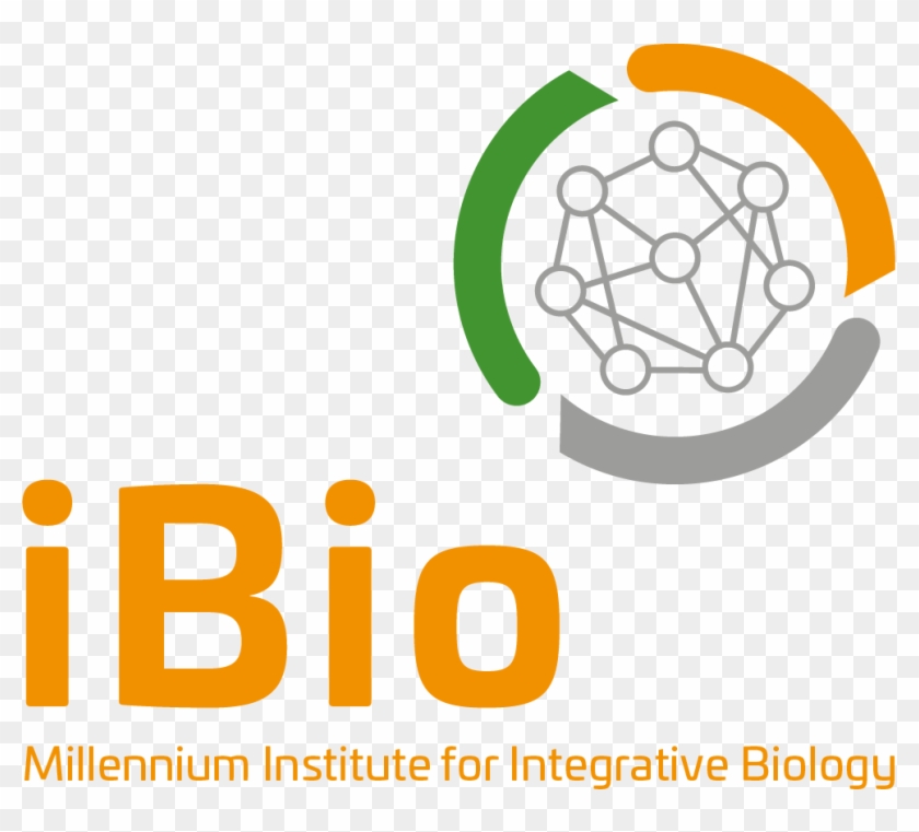 2018 12/marca Ing - Graphic Design Clipart