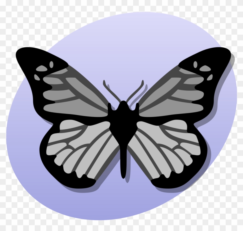 File - P Biology - Svg - Senior Biology Clipart