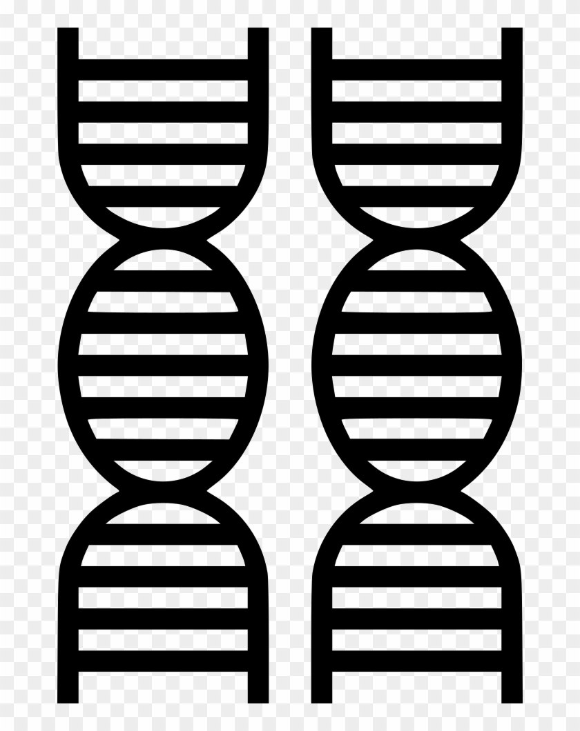 Png File Svg Clipart