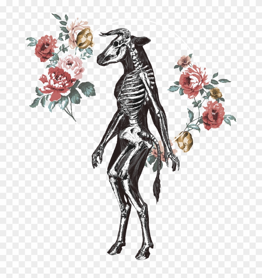 Gatekeeper - Illustration Clipart