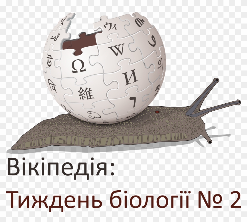Biology Project Week 2 - Wikipedia Logo Icon Clipart
