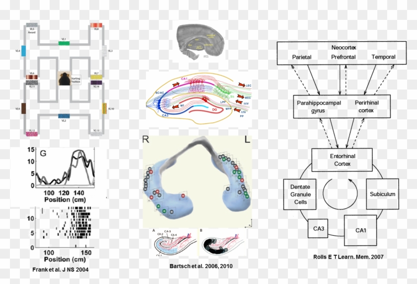 Biology , Png Download Clipart