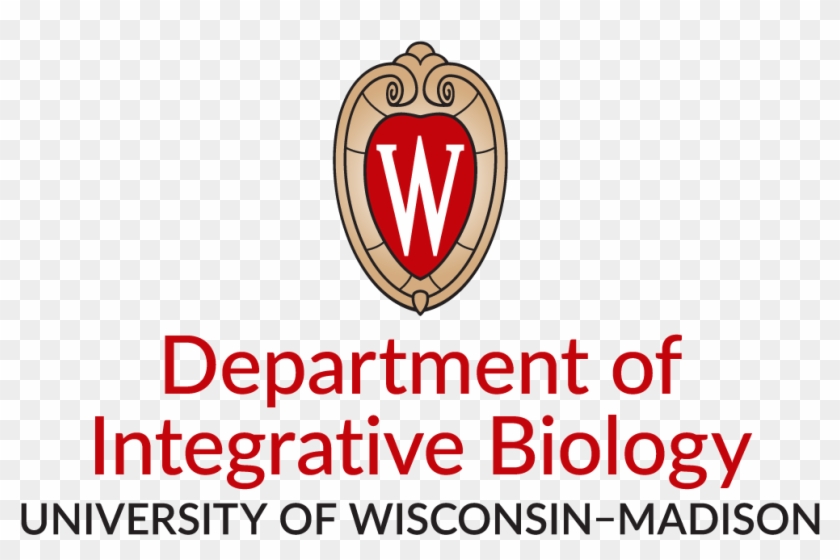 4-color Centered Logo - University Of Wisconsin-madison Clipart #2057771