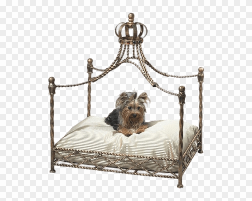 Download - Crown Dog Bed Clipart #2058037