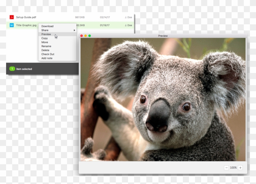 User-added Image - Koala Art Clipart #2058557