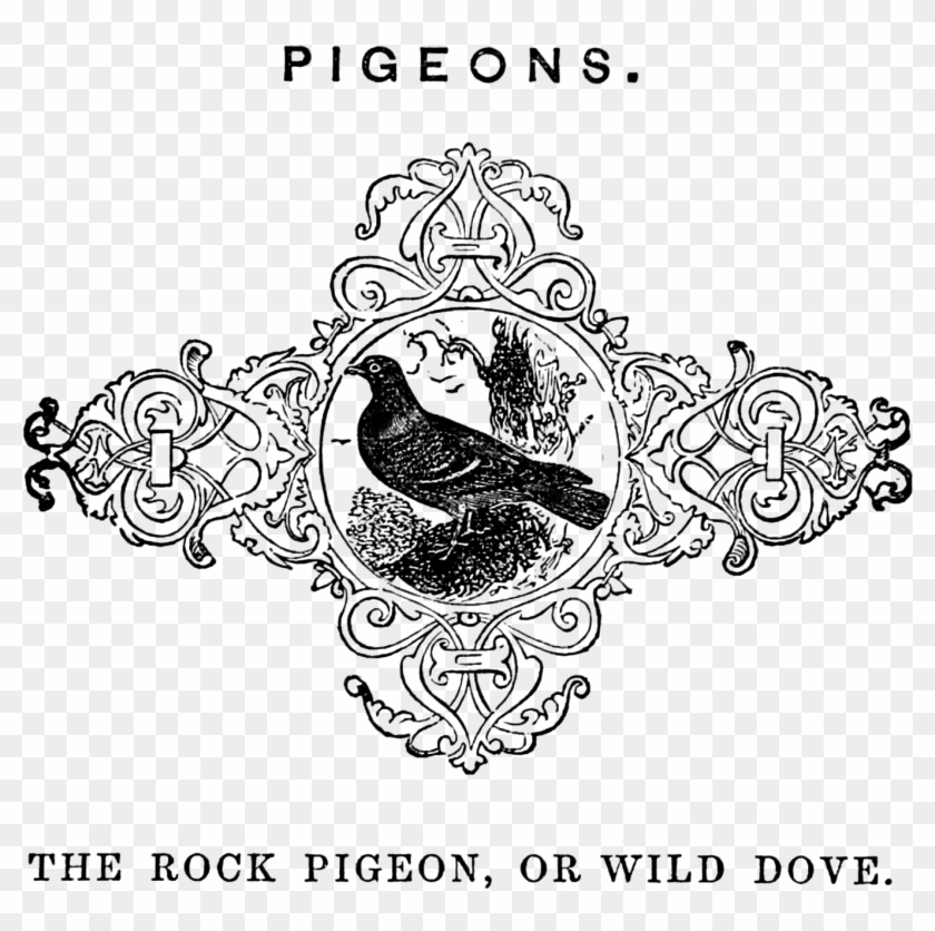 Jpeg Download - Illustration Clipart