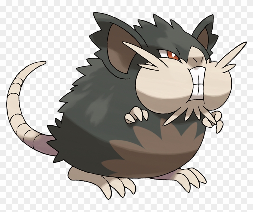 15,906,000 Exp - Alolan Raticate Clipart