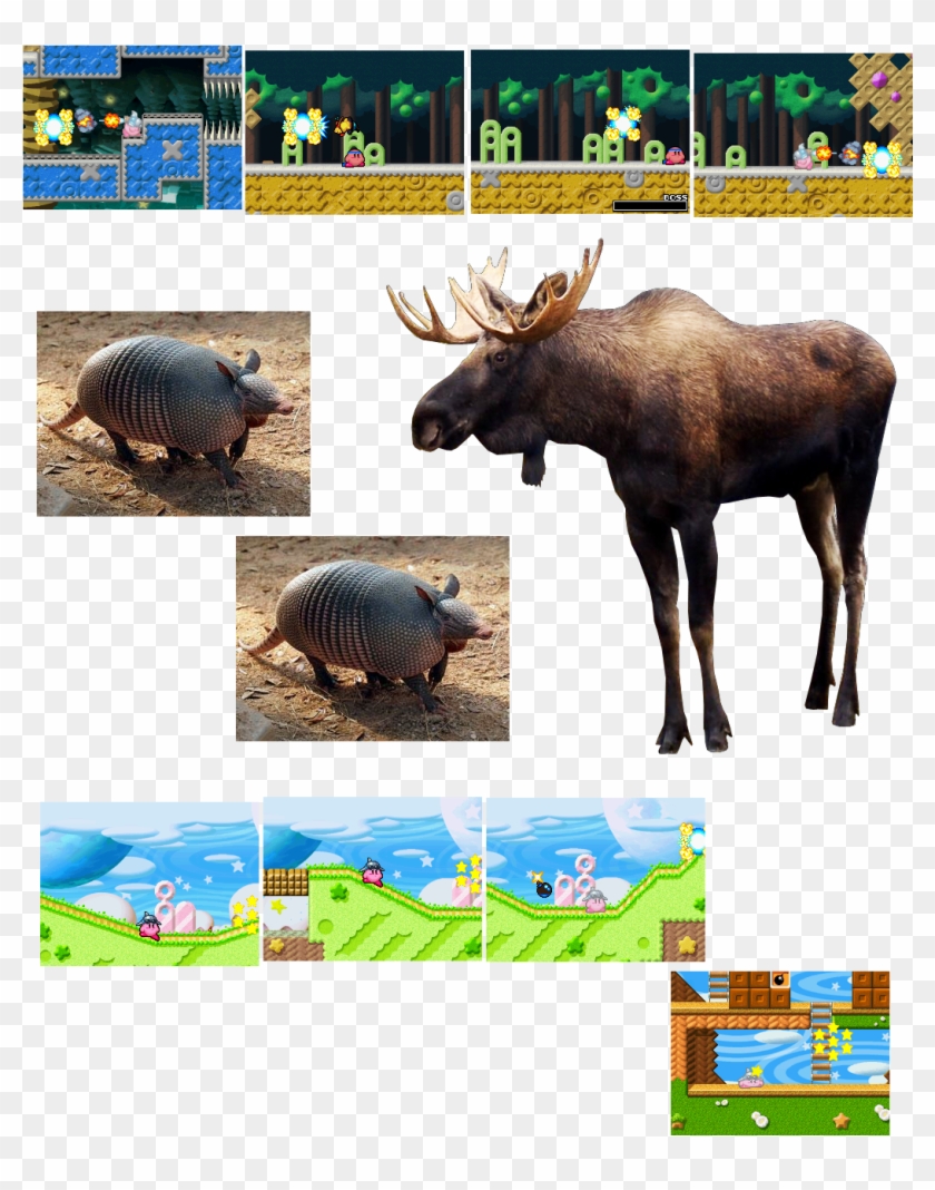 20180910 Nine-banded Armadillo, Moose, Animals Get Clipart #2061275