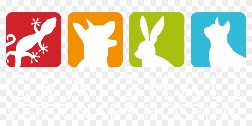 The Care Your Pets Deserve - Cartoon Clipart #2063536