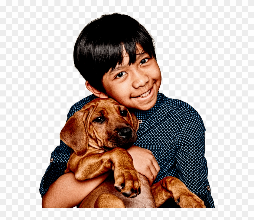 Medibank Pet Insurance - Companion Dog Clipart #2063566