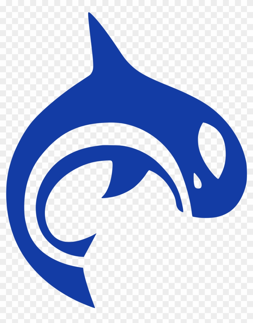 Orca Updated Logo - Orca Health Clipart #2064119