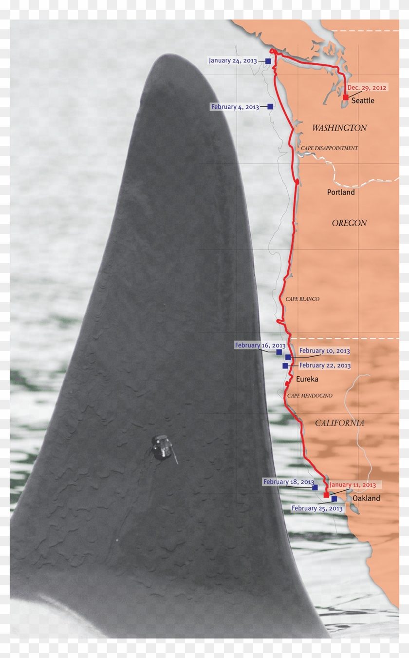 29, 2012, Researchers In Washington Attached A Satellite - Map Clipart #2064540