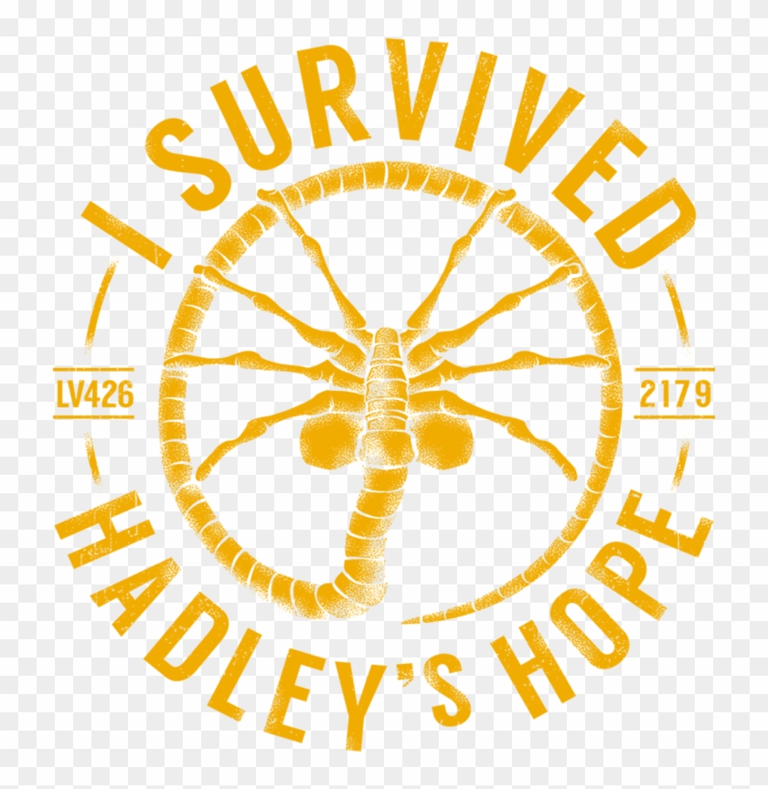 Circle Clipart #2064910