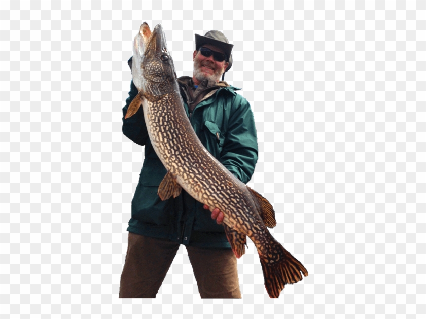 Details Including - Fishing Catching Png Clipart