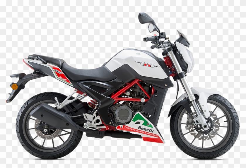Live Tnt - - Benelli Price In Nepal Clipart
