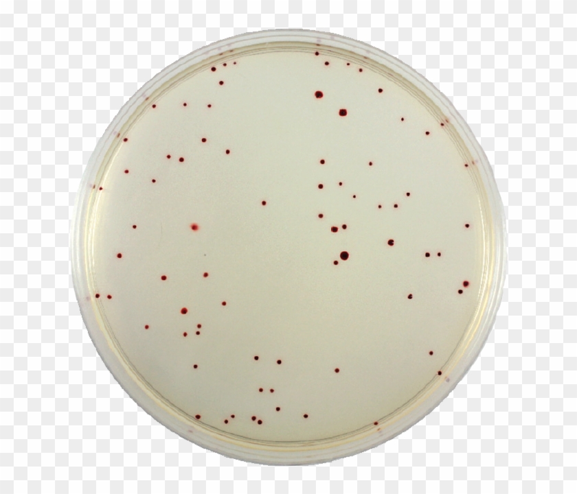 Circle Clipart #2067180