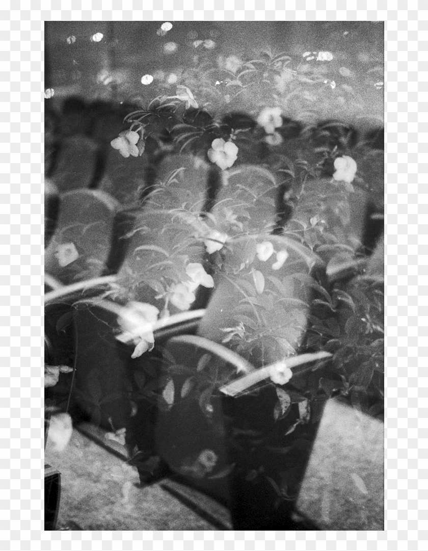 Sweetest Love Is Found In Death - Monochrome Clipart #2067231