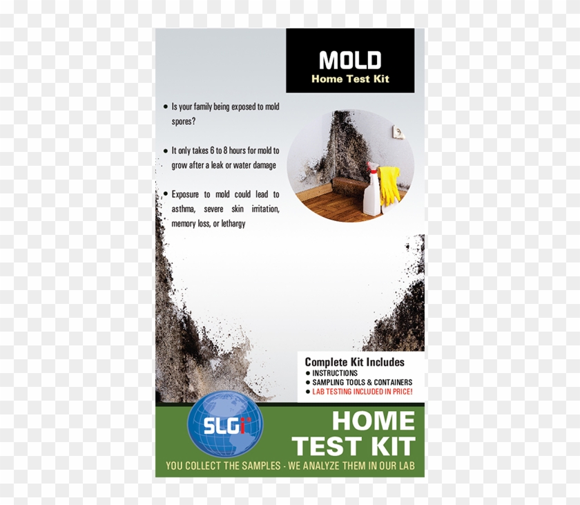 Mold Test Kit 5 Pk Schneider Labs - Redwood Clipart #2067726