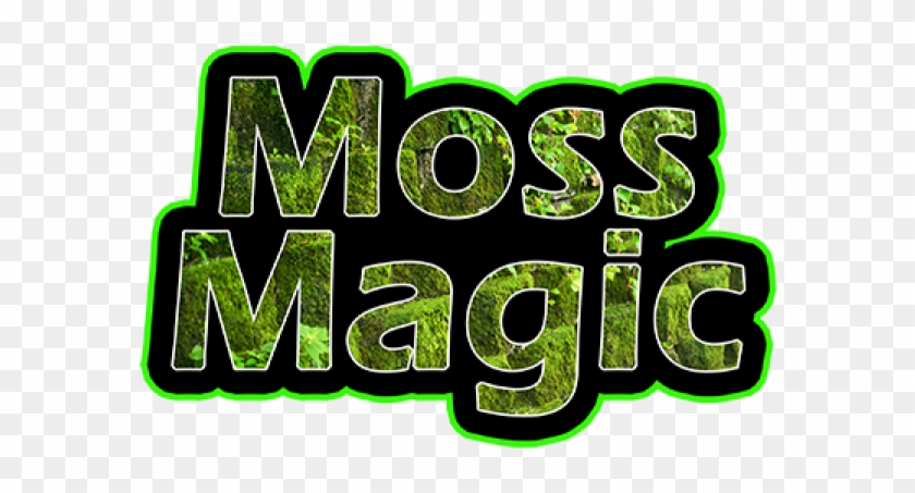 Moss Clipart Mold - Graphic Design - Png Download #2067993