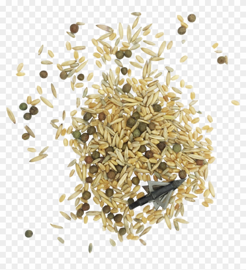 Frosty Feed™ - Food Grain Clipart