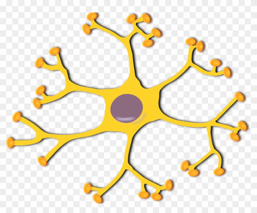 Banner Royalty Free Neuron Interneuron Medium Image - Brain Neurons Clipart - Png Download