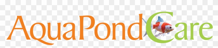 Aquapond Care Clipart