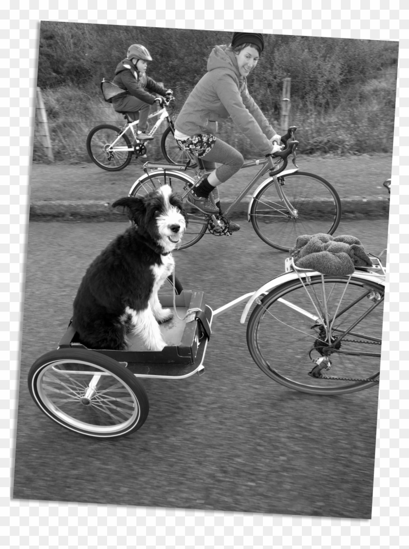Whatever The Ride You're Looking For, We Can Put Together - Road Bicycle Clipart
