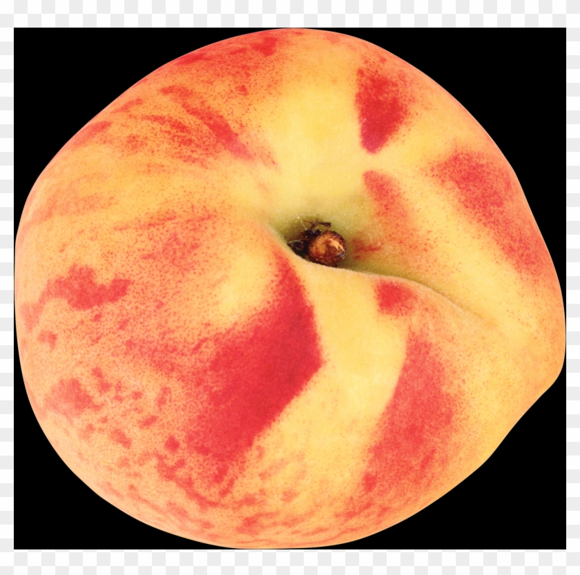 The Peach Is Classified With The Almond In The Subgenus - Melocotón Png Sin Fondo Clipart