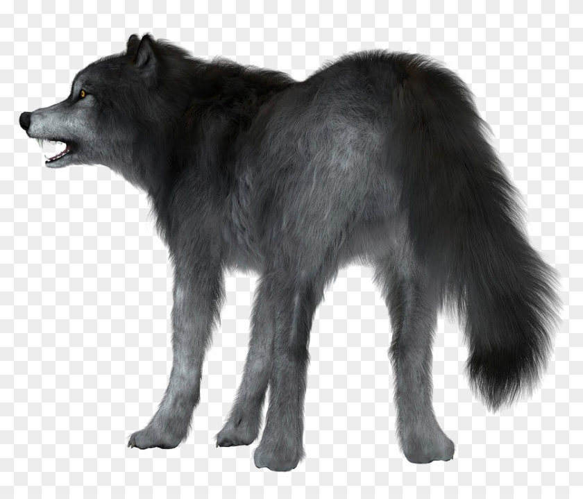 Wolf Tail Clipart