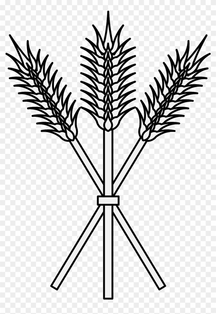 Details, Png - Illustration Clipart #2072928