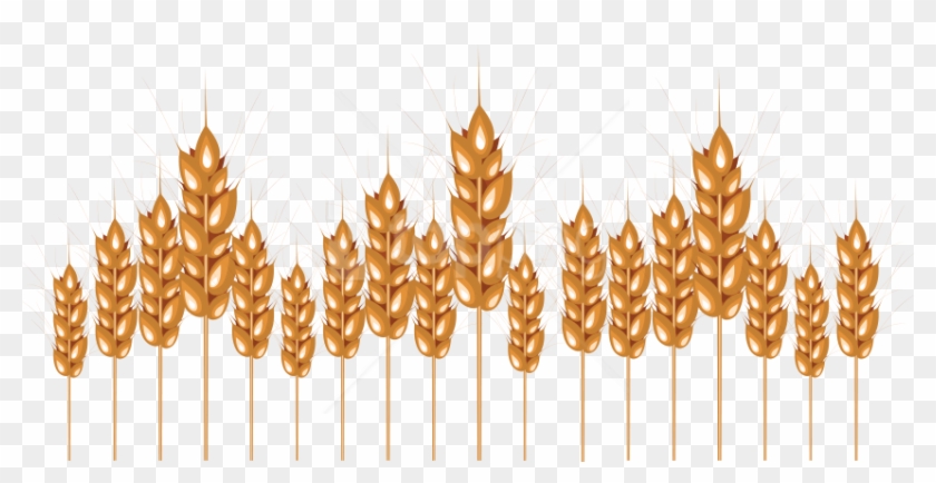 Free Png Download Wheat Png Images Background Png Images - Illustration Clipart #2073255