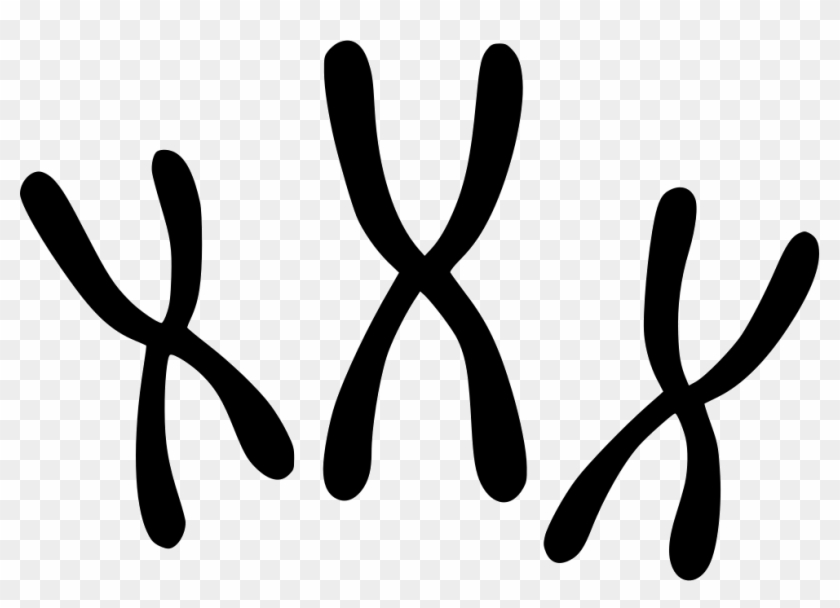 Png File Svg - Chromosomes Icon Clipart